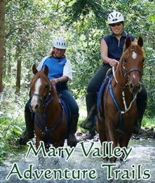 Mary Valley Adventure Trails offer unique horse riding adventures in South East Queeensland.
