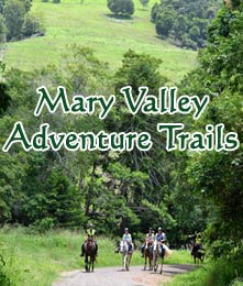 Mary Valley Adventure Trails offer unique horse riding adventures in South East Queeensland.