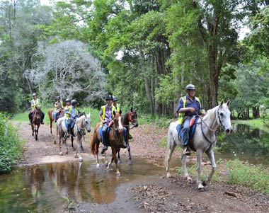 Horse Riding Australia - guided horse riding adventures through the scenic Mary Valley in Sunshine Coast/Noosa Hinterland.