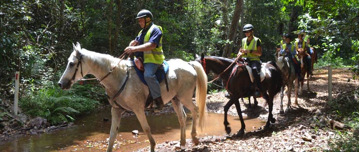 Horse riding in the Mary Valley.
