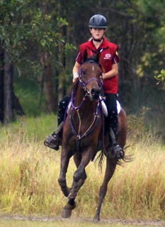 Mary Valley Adventure Trails provide Guided Horse Riding Tours through Queensland's rainforest and farmland in the Noosa Hinterland's scenic Mary Valley.